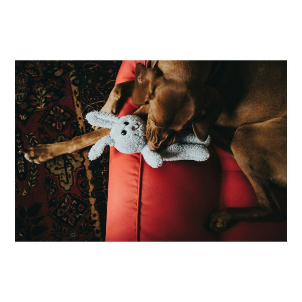 Hunter Jouet Pour Chien Terni Gris Lapin