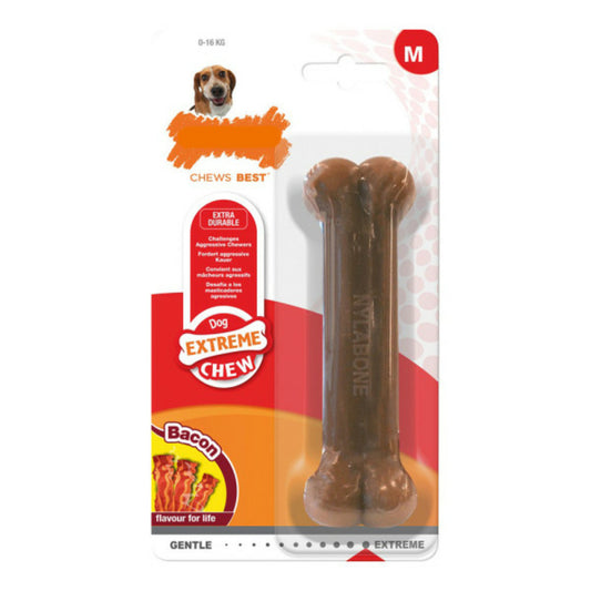 Nylabone Jouet Pour Chien Dura Chew Bacon Taille M Nylon