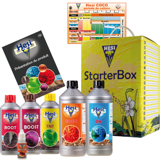  Starterbox Coco