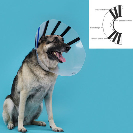  Collier De Protection Isabelino Pour Chiens Ez Clear (18-25 Cm)
