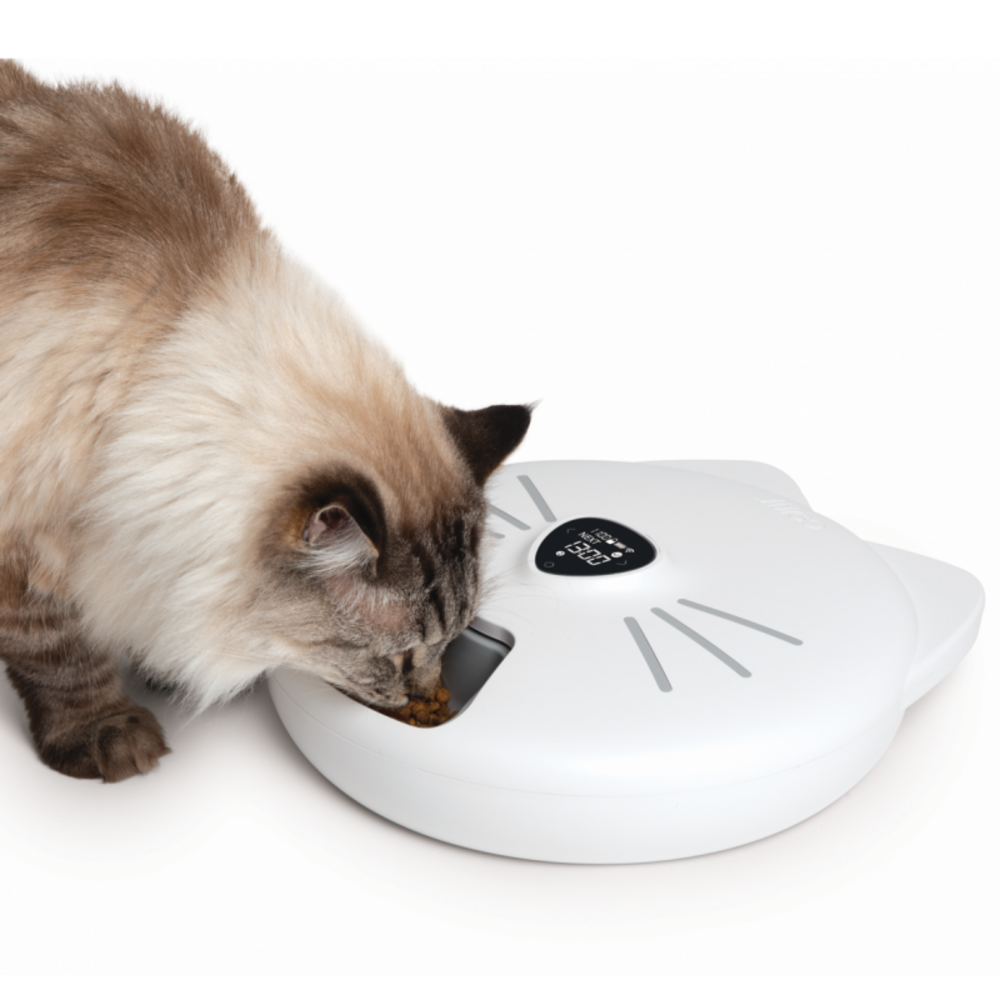 Catit Distributeur Automatique Pixi Smart Avec 6 Repas (nourriture Humide)