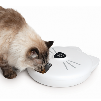 Catit Distributeur Automatique Pixi Smart Avec 6 Repas (nourriture Humide)