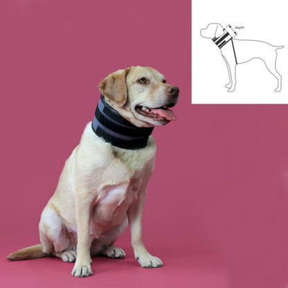  Collier Cervical Pour Chiens Noir (15-53 Cm)