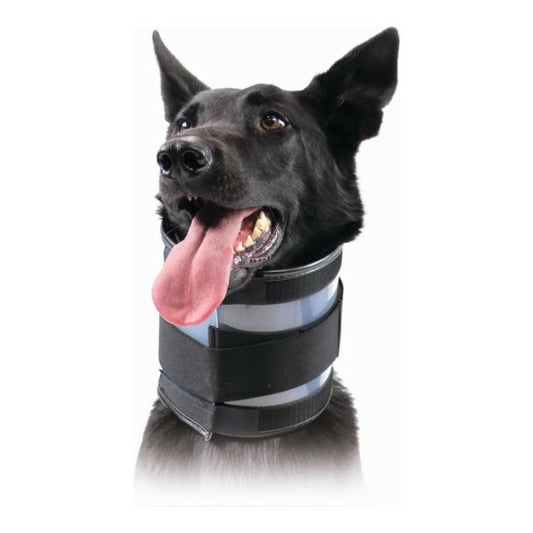  Collier Cervical Pour Chiens Noir (15-53 Cm)