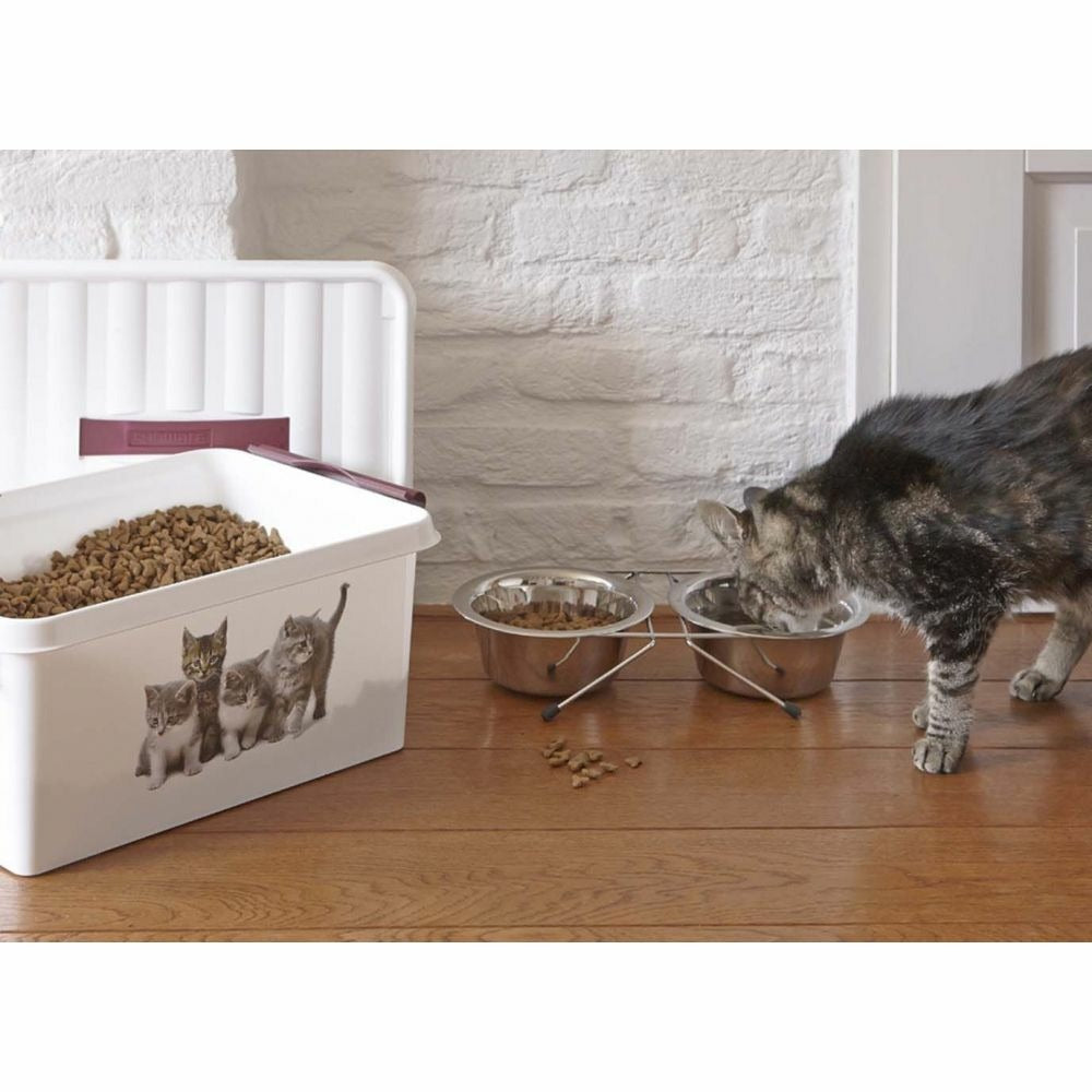  Boite Q-line Motif Animaux 15 Litres