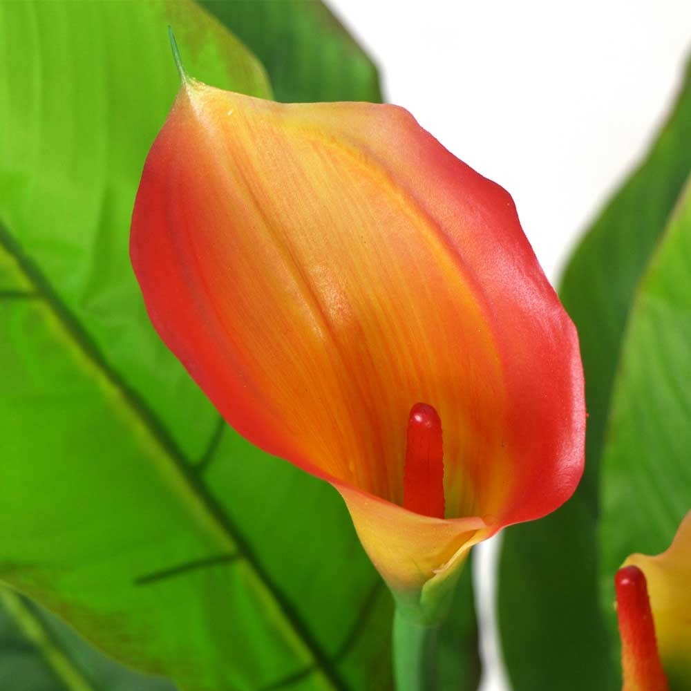  Plante Artificielles - Arum 85cm