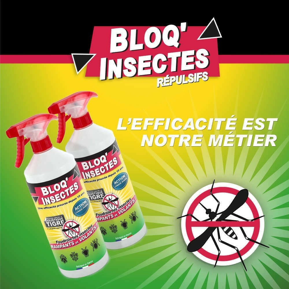  Bloq'insect Barrage Aux Insectes Lot De 2l | Pulvérisateur Anti Insecte Intérieur Extérieur | élimine Moustiques,fourmis,mouches