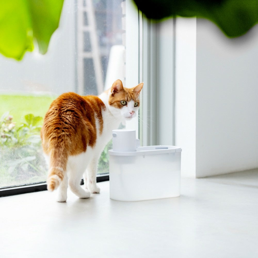  Akoi - Fontaine à Eau Pour Chat Sans Fil, Silencieuse, Lampe Uvc, 25x11,5x20,7cm