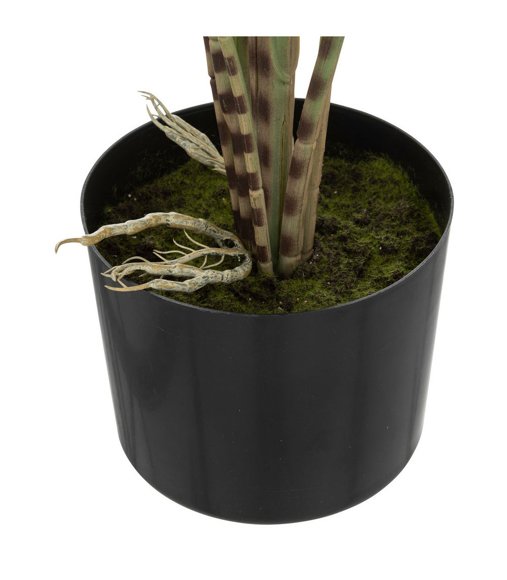 ATMOSPHERA Plante Artificielle Zebrina En Pot H 74 Cm