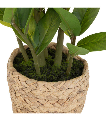ATMOSPHERA Plante Artificielle Zamio En Pot H 41 Cm
