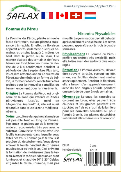  Pomme Du Pérou - 100 Graines - Nicandra Physaloides
