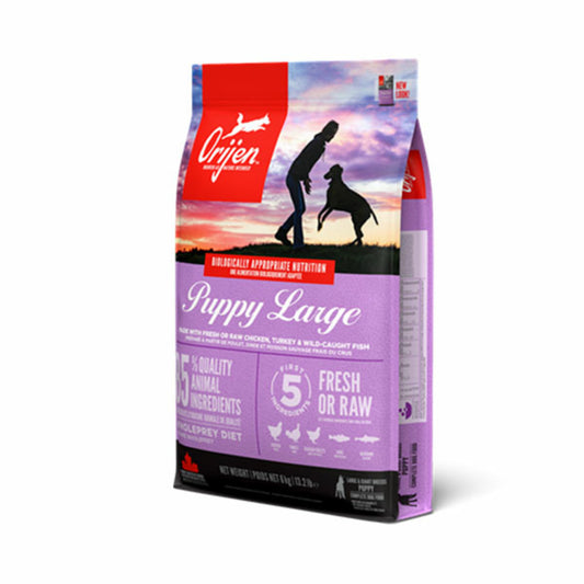 Orijen Chiot Large - 12 Kg