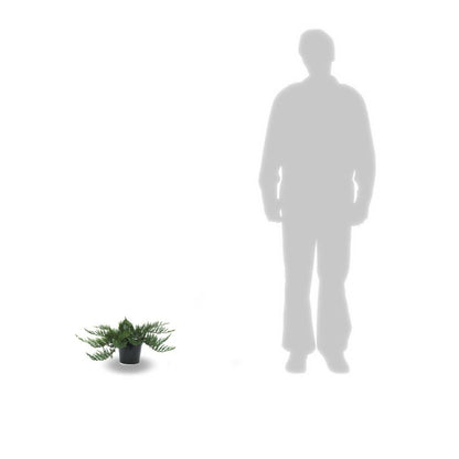 Genévrier Sabine Sabina Tamariscifolia/pot De 3l - 20/40 Cm