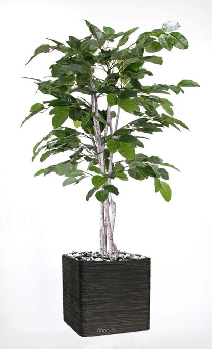  Figuier Des Banyans Artificiel 180 Cm