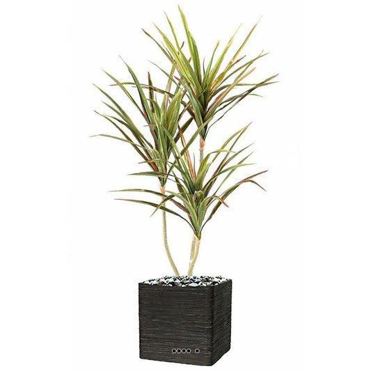  Dracaena Artificiel 3 Troncs En Pot H 140 Cm Vert-rose - Choisissez Votre Hauteu