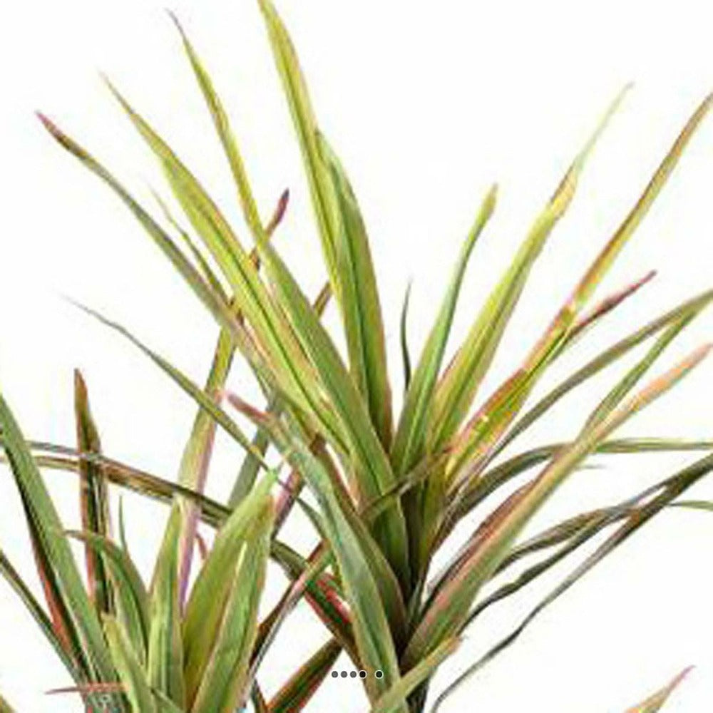  Dracaena Artificiel 3 Troncs En Pot H 140 Cm Vert-rose - Choisissez Votre Hauteu