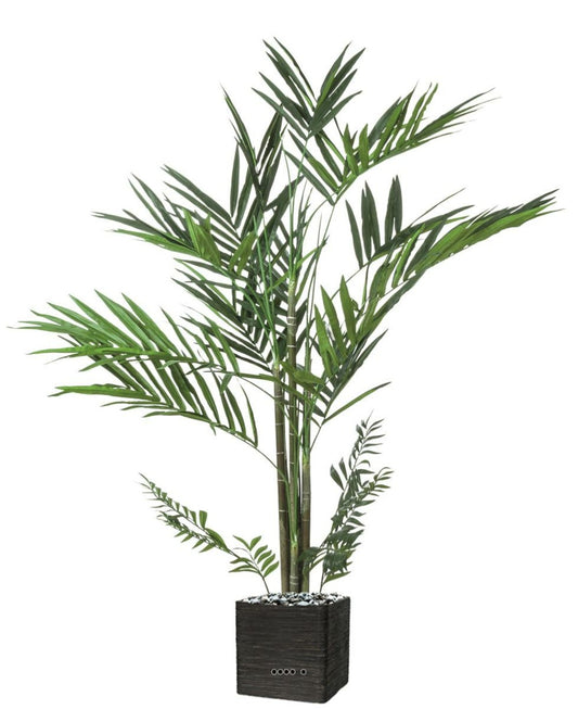  Palmier Kentia Artificiel En Pot H 240 Cm