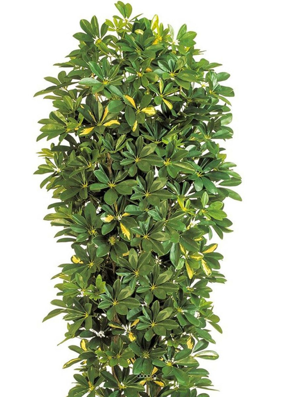  Schefflera Artificiel En Colonne En Pot H 195 Cm Vert-jaune