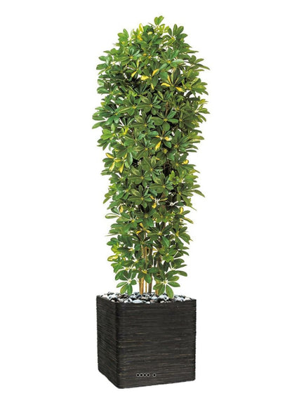  Schefflera Artificiel En Colonne En Pot H 195 Cm Vert-jaune