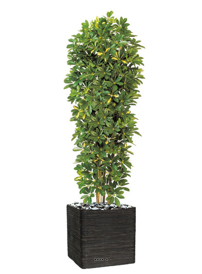  Schefflera Artificiel En Colonne En Pot H 195 Cm Vert-jaune