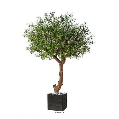  Superbe Olivier Majestueux Artificiel En Pot H 270 Cm