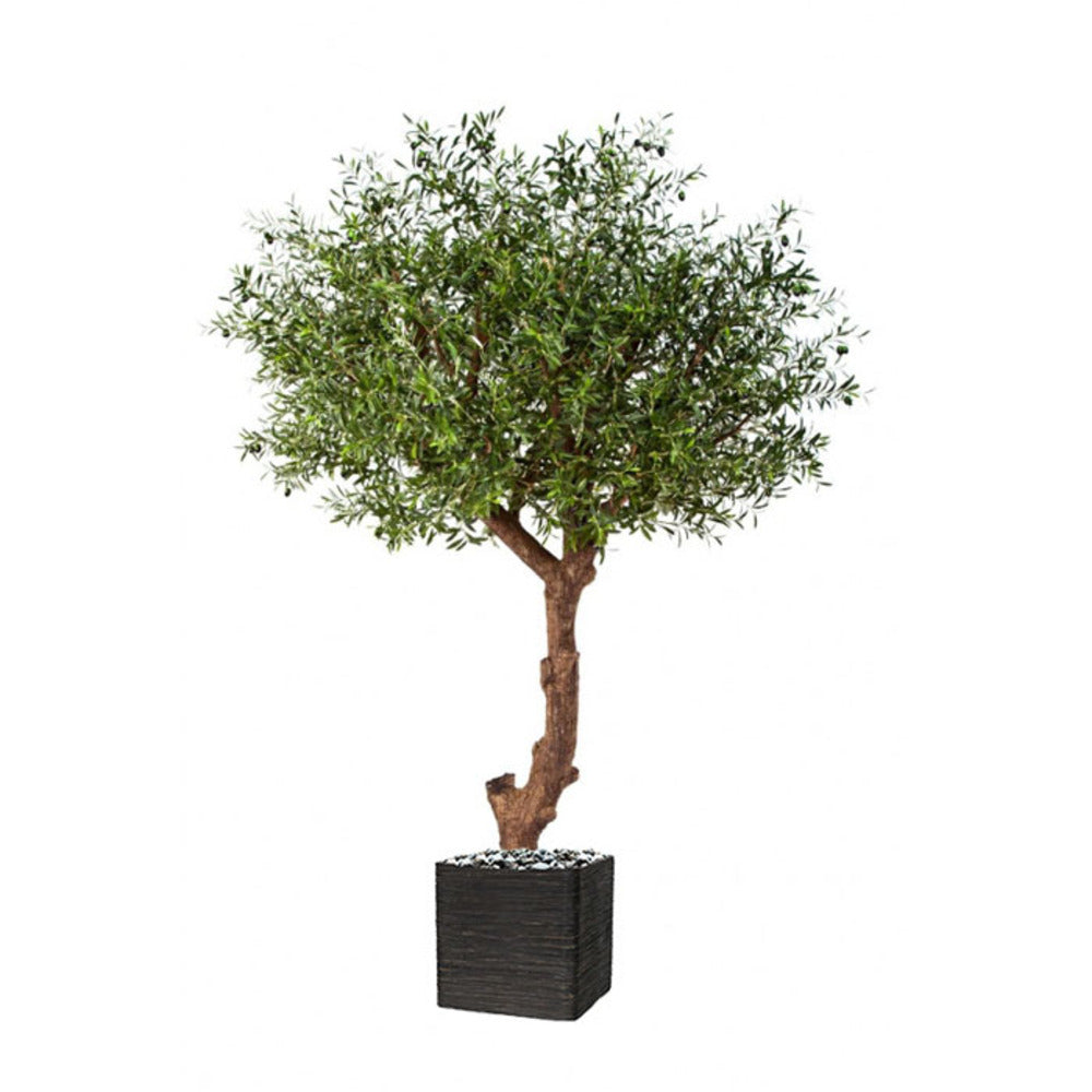  Superbe Olivier Majestueux Artificiel En Pot H 270 Cm