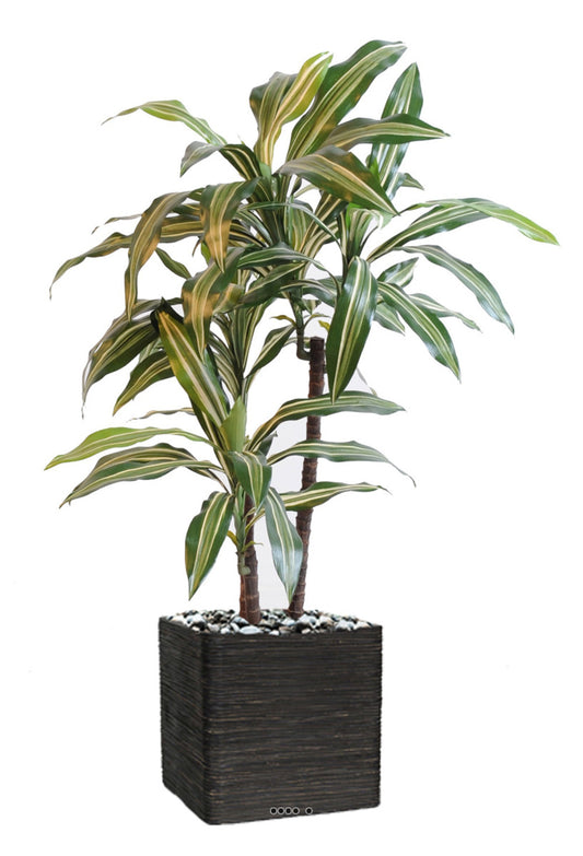  Dracaena Artificiel 3 Têtes H 90 Cm En Pot Vert-jaune