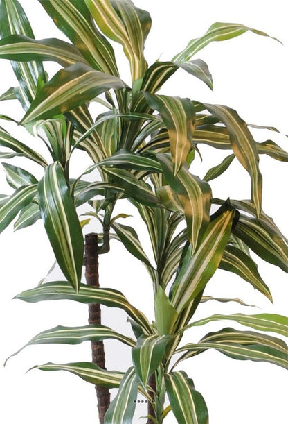  Dracaena Artificiel 3 Têtes H 90 Cm En Pot Vert-jaune
