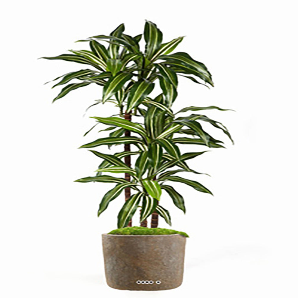  Dracaena Artificiel Fragrans 3 Troncs En Pot H 120 Cm Blanc-vert D 60cm - Choisi