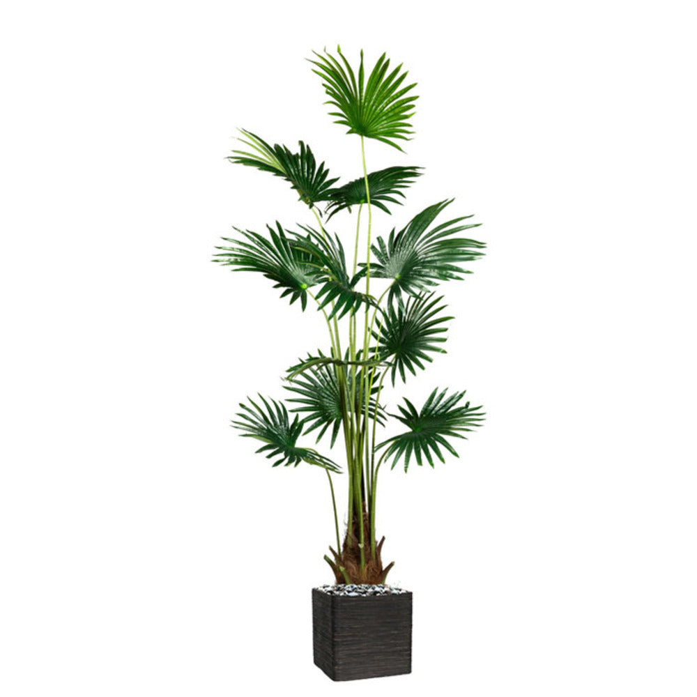  Palmier Fan Artificiel En Pot H 180 Cm 12 Tiges
