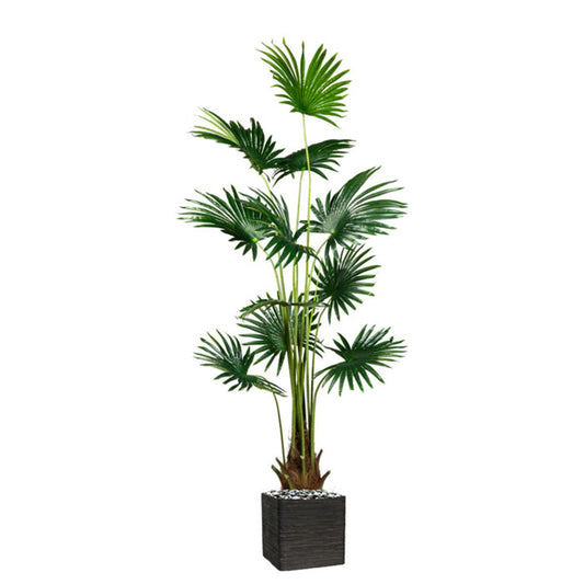  Palmier Fan Artificiel En Pot H 180 Cm 12 Tiges
