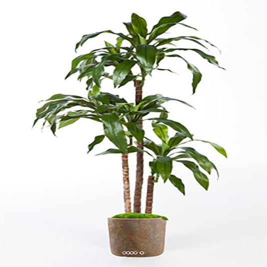  Dracaena Artificiel Fragrans 3 Troncs En Pot H 150 Cm Vert D 70 Cm - Choisissez