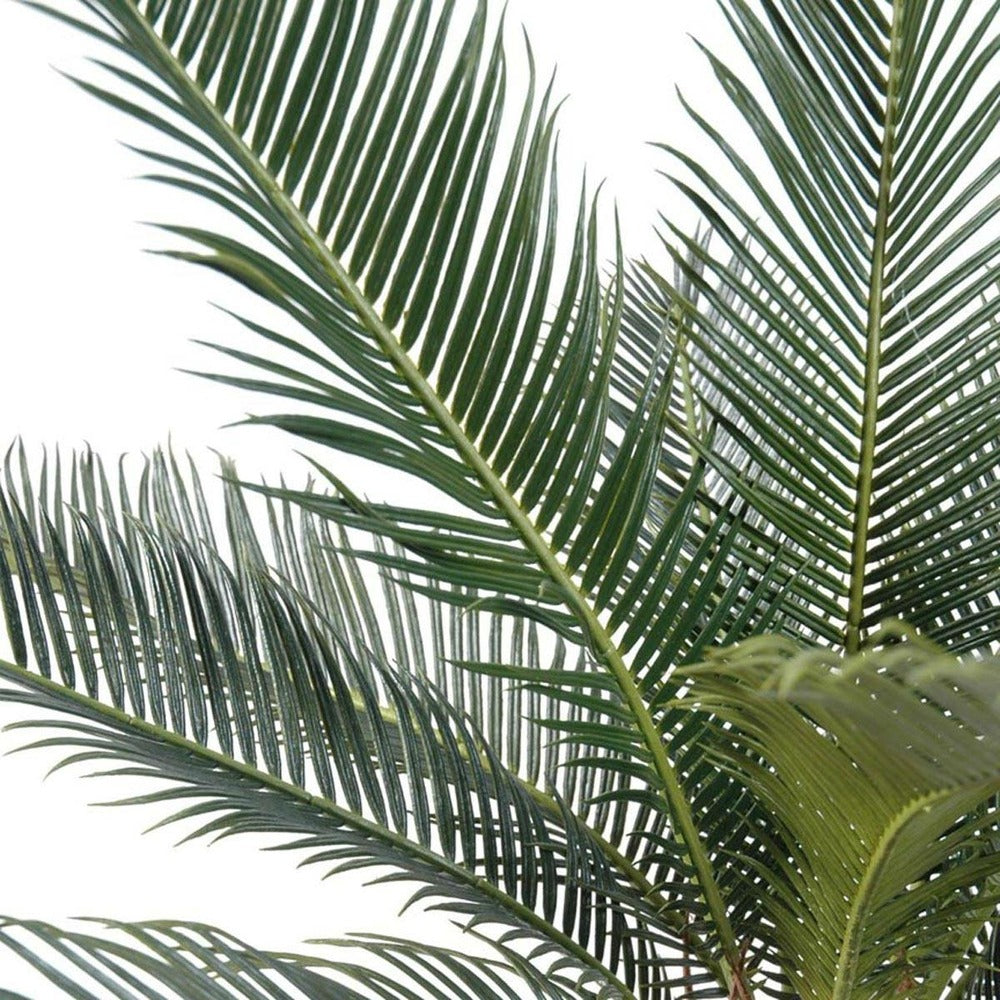  Palmier Cycas Artificiel En Pot H 50 Cm Vert - Choisissez Votre Hauteur: H 50 Cm