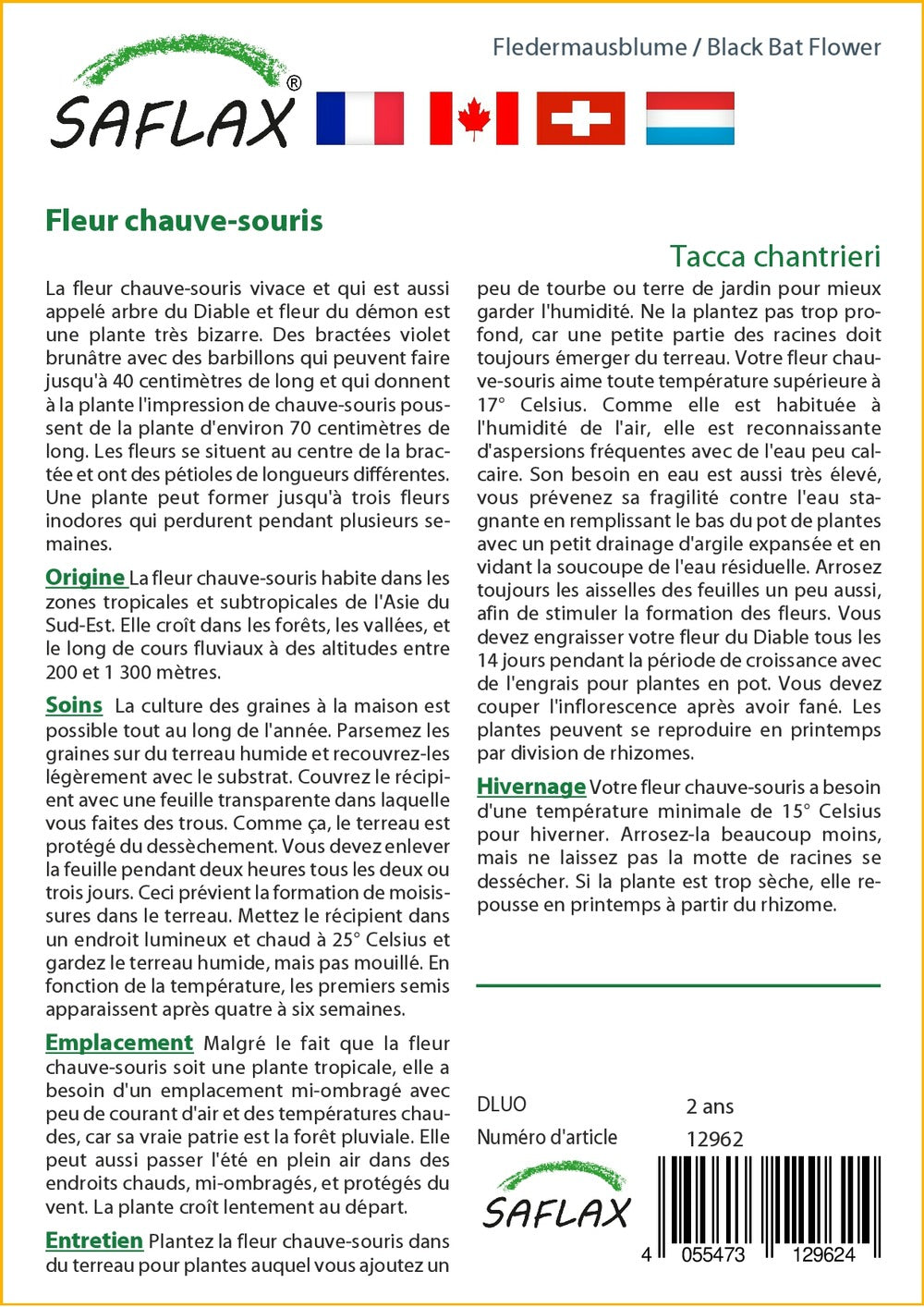  Kit De Culture - Fleur Chauve-souris - 10 Graines - Tacca Chantrieri