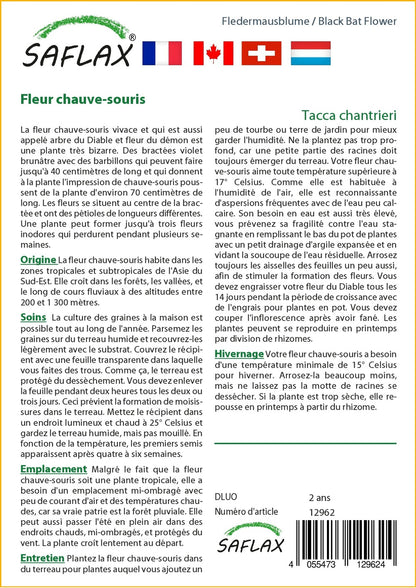  Kit De Culture - Fleur Chauve-souris - 10 Graines - Tacca Chantrieri