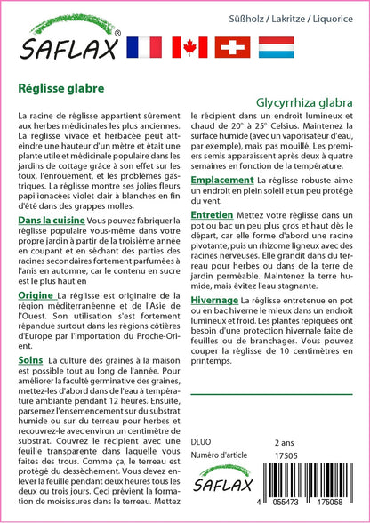  Kit De Culture - Réglisse Glabre - 30 Graines - Glycyrrhiza Glabra