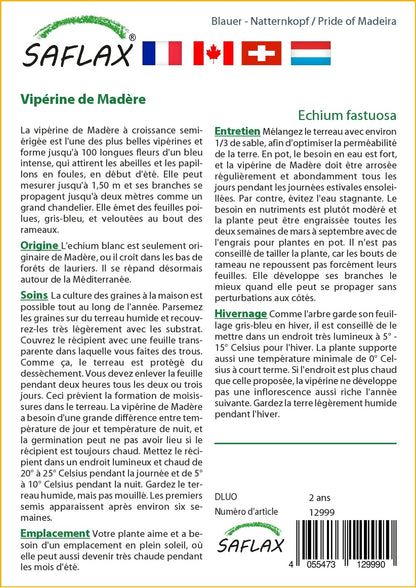  Kit De Culture - Vipérine De Madère - 100 Graines - Echium Fastuosa