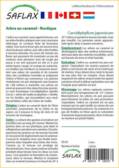  Kit De Culture - Arbre Au Caramel - 200 Graines - Cercidiphyllum Japonicum