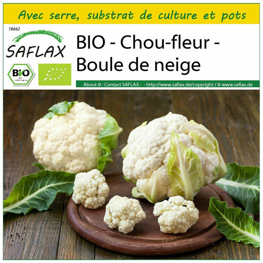  Kit De Culture - Bio - Chou-fleur - Boule De Neige - 70 Graines - Brassica Oleracea Var. Botrytis