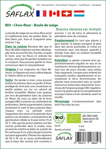  Kit De Culture - Bio - Chou-fleur - Boule De Neige - 70 Graines - Brassica Oleracea Var. Botrytis