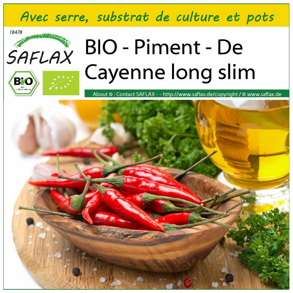  Kit De Culture - Bio - Piment - De Cayenne Long Slim - 10 Graines - Capsicum Annuum