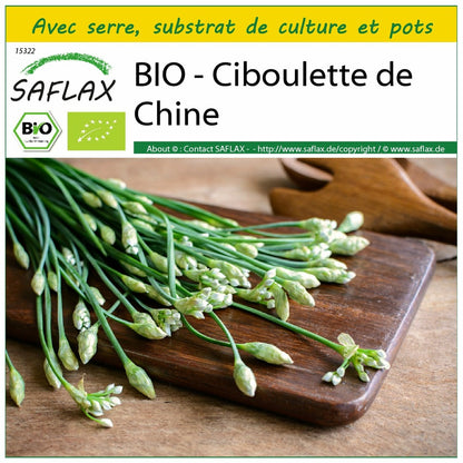  Kit De Culture - Bio - Ciboulette De Chine - 100 Graines - Allium Tuberosum