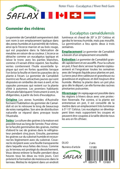  Kit De Culture - Gommier Des Rivières - 200 Graines - Eucalyptus Camaldulensis