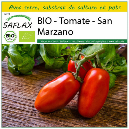  Kit De Culture - Bio - Tomate - San Marzano - 15 Graines - Solanum Lycopersicum