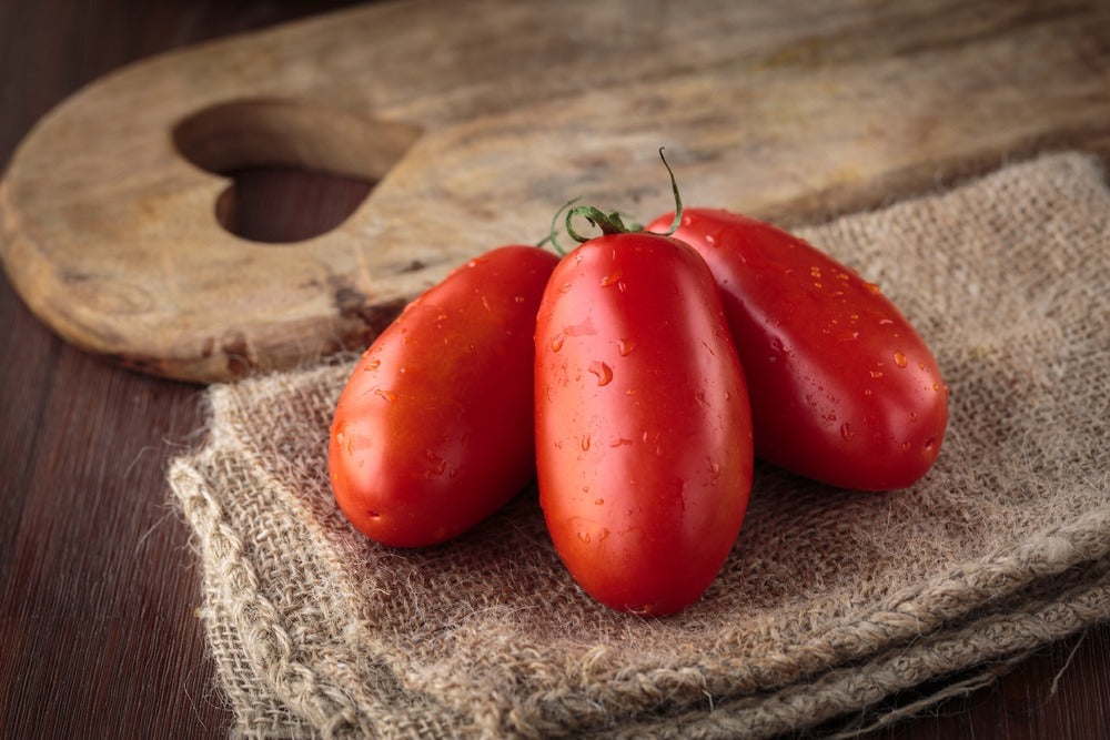  Kit De Culture - Bio - Tomate - San Marzano - 15 Graines - Solanum Lycopersicum