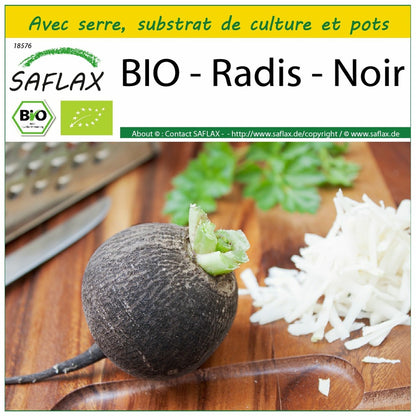  Kit De Culture - Bio - Radis - Noir - 100 Graines - Raphanus Sativus