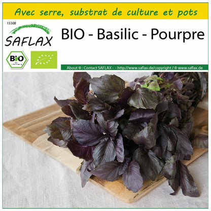  Kit De Culture - Bio - Basilic - Pourpre - 400 Graines - Ocimum Basilicum