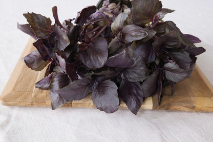  Kit De Culture - Bio - Basilic - Pourpre - 400 Graines - Ocimum Basilicum