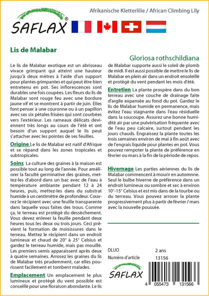  Kit De Culture - Lis De Malabar - 15 Graines - Gloriosa Rothschildiana
