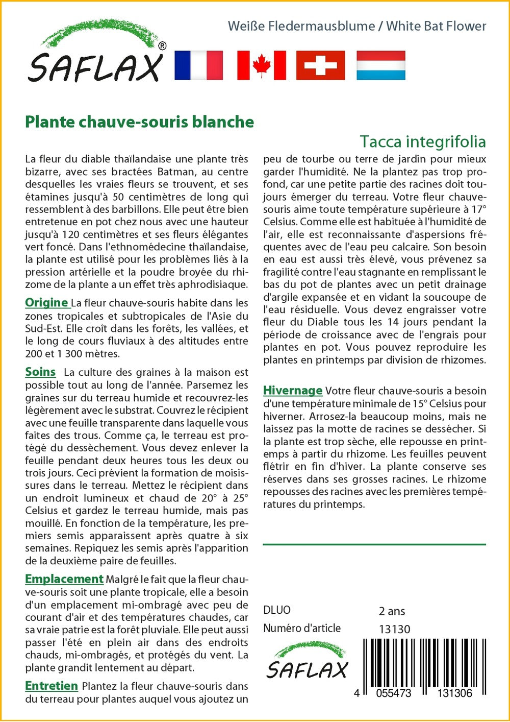  Kit De Culture - Plante Chauve-souris Blanche - 10 Graines - Tacca Integrifolia